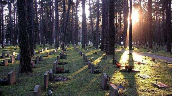 森林公墓
